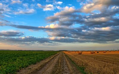 Update on the Land Expropriation Bill