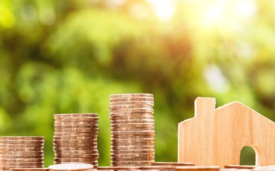 What are the costs involved in buying and selling immovable property?